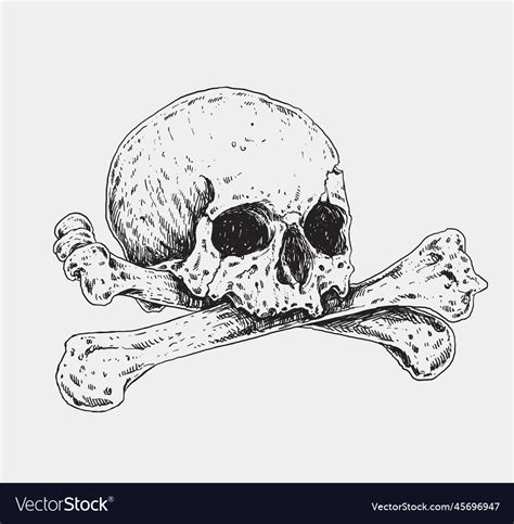 Skull and crossbones realistic drawing Royalty Free Vector