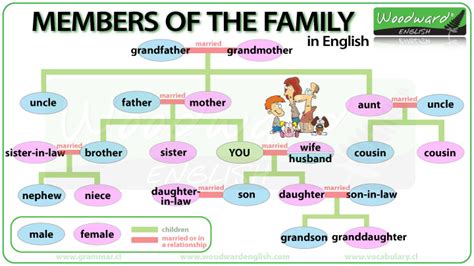 ENGLISH JOINS US!: Vocabulary: Family members