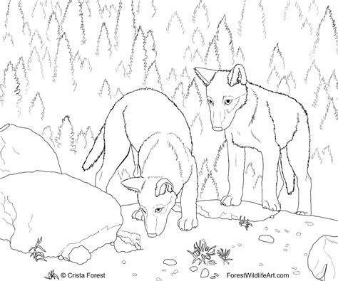 Crista Forest's Animals & Art: Wolf Pups Coloring Book Page