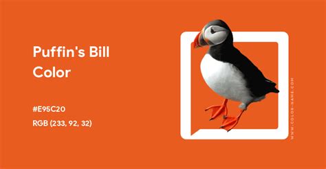 Puffin’s Bill color hex code is #E95C20