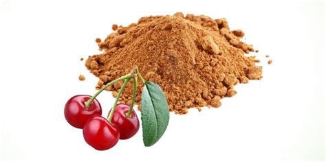 Acerola Powder Organic – Vitanics Bio