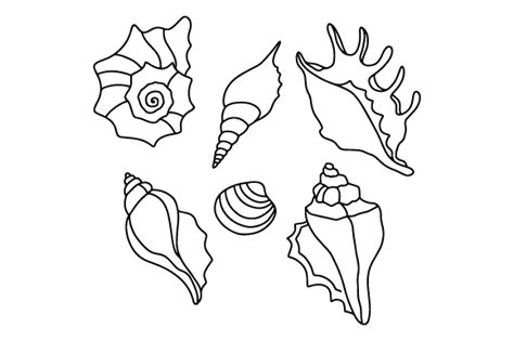 Sea Shells Coloring Page SVG Cut file by Creative Fabrica Crafts ...