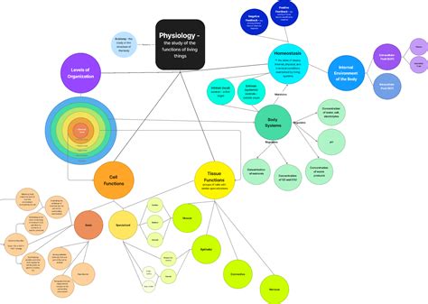 Homeostasis Concept Map | The Best Porn Website