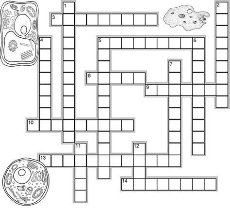 Cell Structures Crossword Puzzle