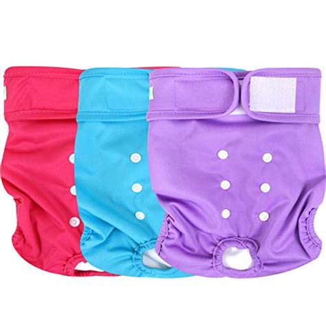 The Best Dog Diapers for Puppies, Adult and Senior Dogs (2020 Reviews)