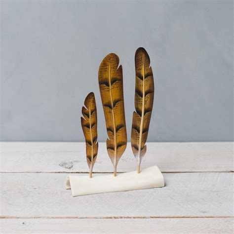 Barn Owl Feathers 3pc - Aviologie