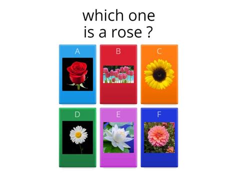 nature - Quiz