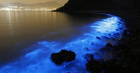 Natureza - Misteriosas manchas fluorescentes iluminam o mar de Hong Kong