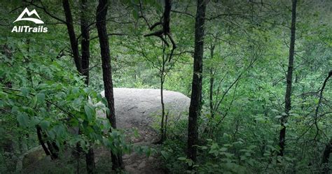 Best Trails in Kanawha State Forest | AllTrails.com