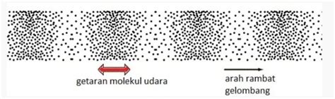 Contoh Gelombang Longitudinal Pengertian Dan Rumusnya - Riset