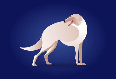 Premium Vector | White with brown coated dog breed borzoi or russian wolfhound isolated on the ...