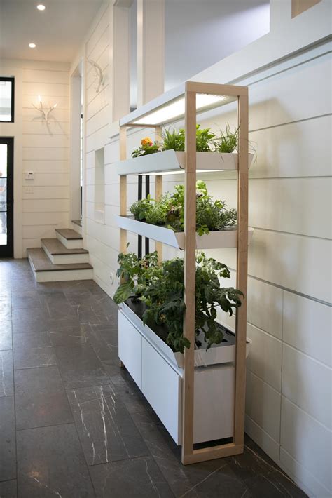 Founder Stories: Rise Gardens Is Bringing Gardening Indoors | StarterNoise