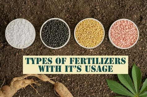 Home And Garden : Different Types of Fertilizers