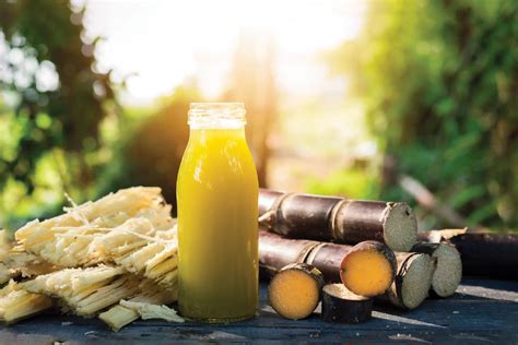 Sugarcane Juice Benefits, Nutritional Facts, Recipes