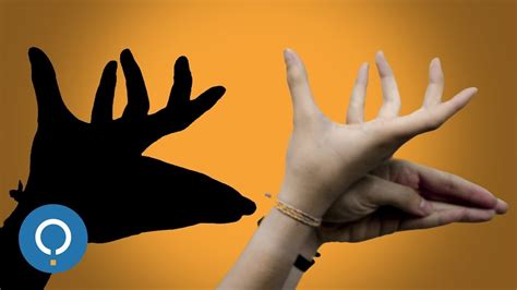 How to make Shadow Animals with your Hands - YouTube