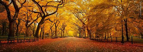 Autumn Fb Covers / Fall Leaves Facebook Covers - myFBCovers | Ellis Pearce