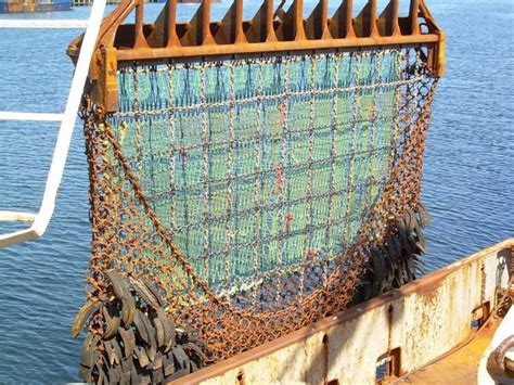 Fishing dredge - Wikipedia