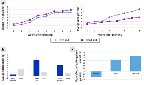 Line graphs (a) show how plant height changes with time, broccoli on ...