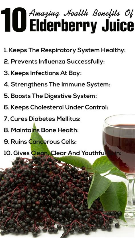 5 Amazing Health Benefits and Uses Of Elderberries | Health, Juice and Benefits of