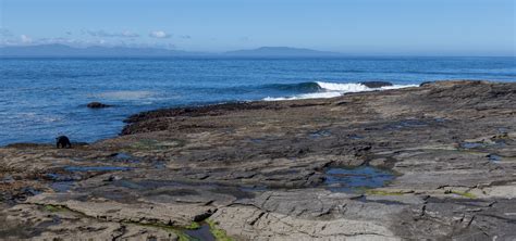 Juan de Fuca Trail: Hiking report – Hiking Is Good