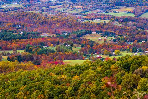 Gallery 3 - Shenandoah Fall Foliage — CameraLingua.com