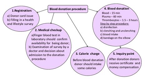 Steps of blood donation procedure. | Download Scientific Diagram