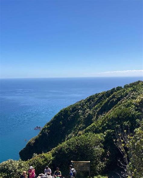 Kapiti Island Ferry - Rangatira Point - Incl. Return - Epic deals and ...