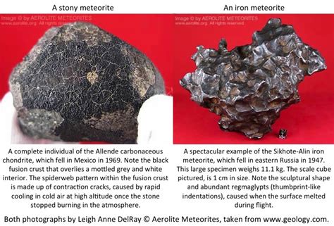 Missing meteorites in Antarctica | Lindsey Nicholson