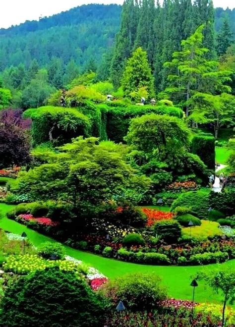 Beautiful photograph nature | Butchart gardens, Botanical gardens near me, Beautiful gardens