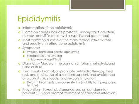 Epididymitis without antibiotics