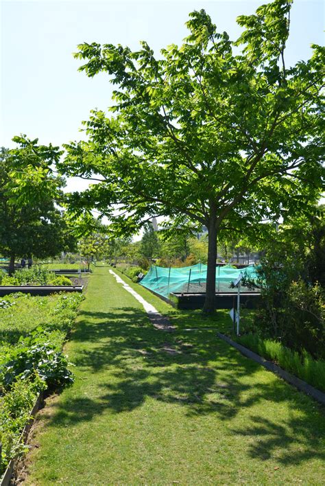 Botanical garden of Bordeaux - Europe's Best Destinations