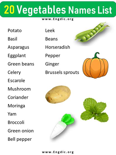 20 Vegetables Names List