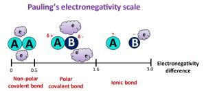 Is CHCl3 Polar or Nonpolar? - Polarity of Chloroform