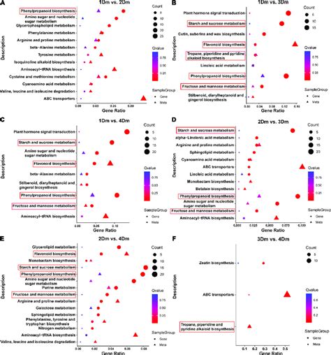 Scatterplot of KEGG pathway enrichment for transcriptome and ...