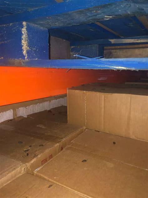 Ealing food supplier fined after rat infestation found in warehouse - MyLondon