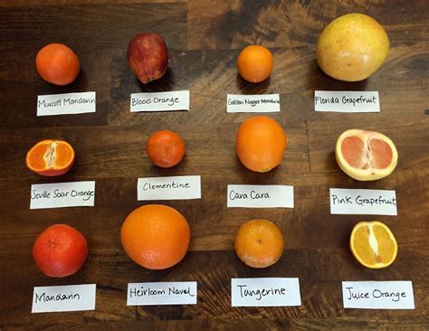 Guide | Types of Oranges - Grappler Gourmet