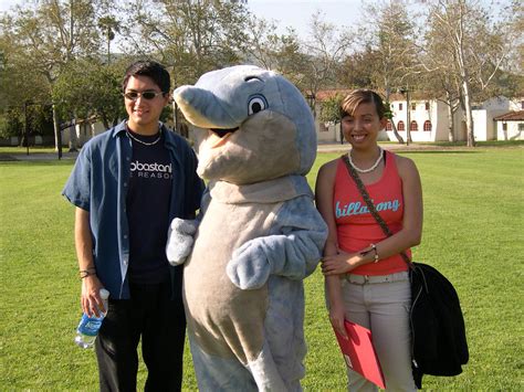 Future students with Tsunami the Dolphin | California State University ...