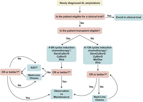 Algorithm for Treatment Approach to Newly Diagnosed AL Amyloidosis Patients | Download ...