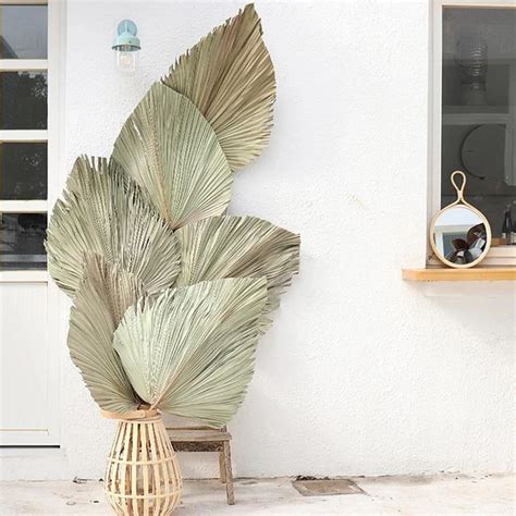 Dried Palm Fan Leaves Art Decor in 2021 | Palm leaf decor, Leaf decor, Hanging wall decor