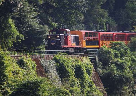 The Sagano Romantic Train: A Scenic Route through the Four Seasons | Goin’ Japanesque!