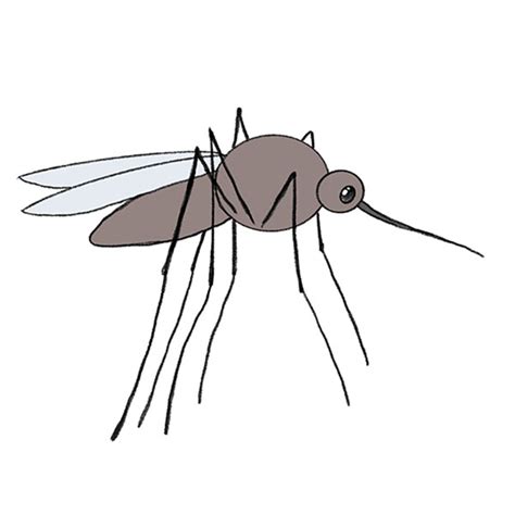 How to Draw a Mosquito - Easy Drawing Tutorial For Kids