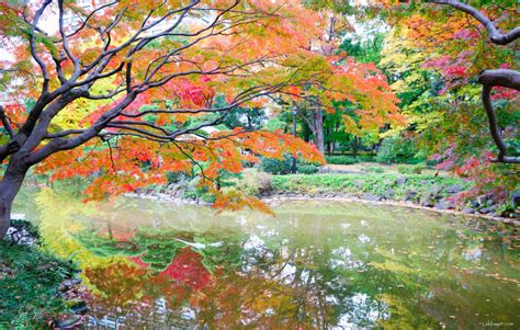 Autumn 2016: Hibiya Park – Lakbayer