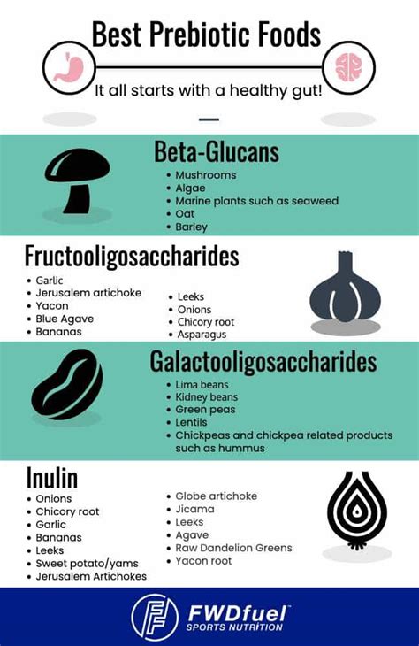 Prebiotic-Foods-List-PDF - FWDfuel Sports Nutrition