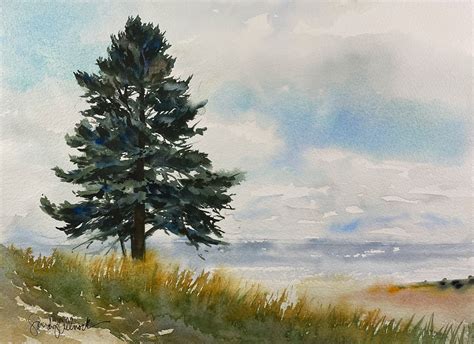 Coastal Pine | Sandy Allnock Fine Art