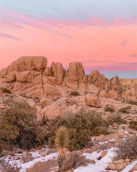 Split Rock Loop Trail in Joshua Tree National Park—Field Guide