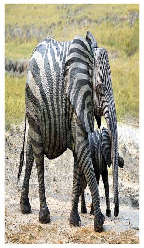 zebra elephant | Photoshopped animals, Elephant pictures, Animal mashups