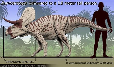 Zuniceratops | Prehistoric animals, Ancient animals, Prehistoric creatures