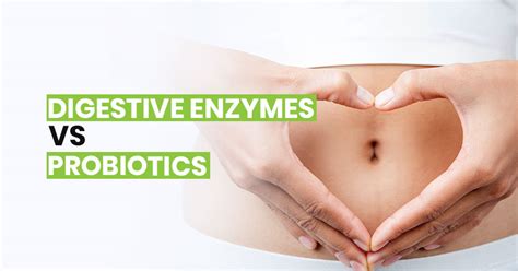 Digestive Enzymes vs Probiotics: What's the Real Difference?