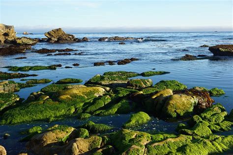 16 of the Best Beaches in Pismo Beach - The Family Vacation Guide