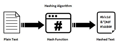 Breaking Down : SHA-256 Algorithm | by Aditya Anand | InfoSec Write-ups